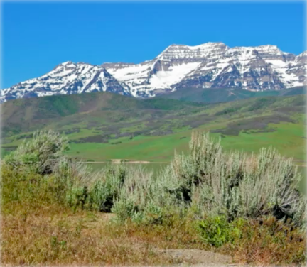 Trekking to the mountain of data integrity